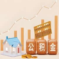 咸宁公积金代取指南：十大情况详解摘要。